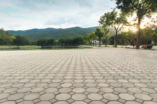 Best Brick Driveway Pavers  in Lake Wilderness, VA